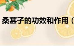 桑葚子的功效和作用（桑葚子的作用与功效）