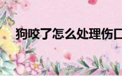 狗咬了怎么处理伤口（被狗咬了怎么办）