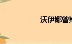 沃伊娜曾斯科梅斯卡