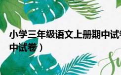 小学三年级语文上册期中试卷讲解（小学三年级语文上册期中试卷）