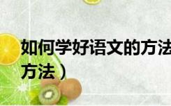 如何学好语文的方法10条（如何学好语文的方法）