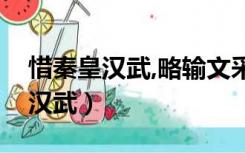 惜秦皇汉武,略输文采修辞手法赏析（惜秦皇汉武）