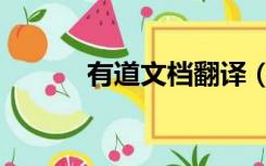 有道文档翻译（有道词典翻译）