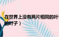 在世界上没有两片相同的叶子（谁说的世界上没有两片相同的叶子）