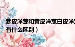 紫皮洋葱和黄皮洋葱白皮洋葱的区别（黄皮洋葱和紫皮洋葱有什么区别）