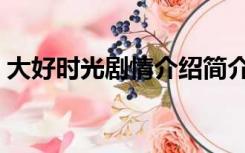 大好时光剧情介绍简介（大好时光剧情介绍）
