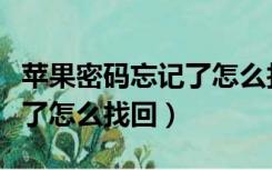 苹果密码忘记了怎么找回微信（苹果密码忘记了怎么找回）