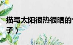 描写太阳很热很晒的句子（描写太阳的优美句子）