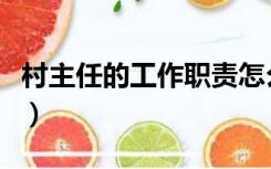 村主任的工作职责怎么写（村主任的工作职责）