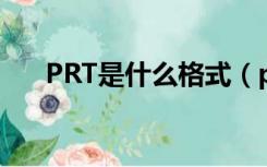 PRT是什么格式（prt格式转换成pdf）