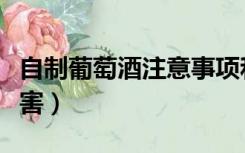 自制葡萄酒注意事项和危害（自制葡萄酒有危害）