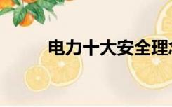 电力十大安全理念（大安全理念）