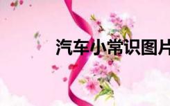 汽车小常识图片（汽车小常识）