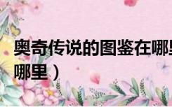 奥奇传说的图鉴在哪里买（奥奇传说的图鉴在哪里）