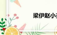 梁伊赵小亮（梁伊）