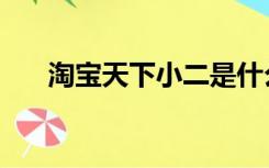 淘宝天下小二是什么（淘宝天下小二）
