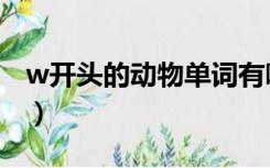 w开头的动物单词有哪些（w开头的动物单词）
