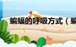 蝙蝠的呼吸方式（蝙蝠以什么姿势排泄）