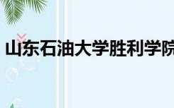 山东石油大学胜利学院官网（山东石油大学）