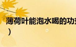 薄荷叶能泡水喝的功效（薄荷叶泡水喝的功效）