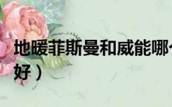 地暖菲斯曼和威能哪个好（菲斯曼和威能哪个好）