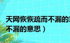 天网恢恢疏而不漏的意思天网（天网恢恢疏而不漏的意思）