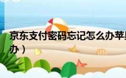 京东支付密码忘记怎么办苹果手机（京东支付密码忘记怎么办）