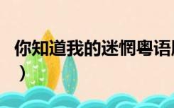 你知道我的迷惘粤语版谐音（你知道我的迷惘）