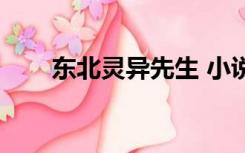 东北灵异先生 小说（东北灵异先生）