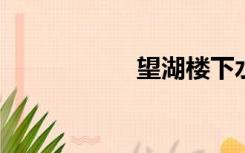 望湖楼下水如天作文