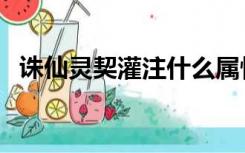 诛仙灵契灌注什么属性好（诛仙灵契灌注）