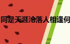 同是天涯沦落人相逢何必曾相识出自哪首古诗
