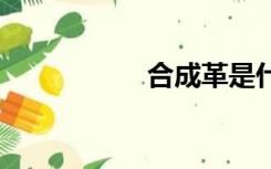 合成革是什么材料 谢