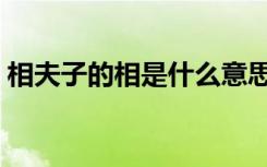 相夫子的相是什么意思（相夫子中相的意思）