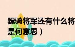 骠骑将军还有什么将军（车骑将军 骠骑将军 是何意思）