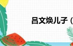 吕文焕儿子（吕文焕事迹）