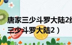 唐家三少斗罗大陆2绝世唐门小说免费（唐家三少斗罗大陆2）