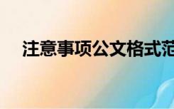 注意事项公文格式范文（公文格式范文）