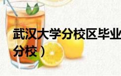 武汉大学分校区毕业证都一样吗?（武汉大学分校）