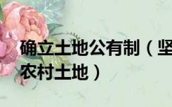 确立土地公有制（坚持以公有制为主体 坚持农村土地）