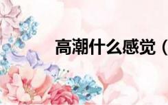 高潮什么感觉（高潮什么感觉）