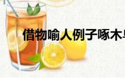 借物喻人例子啄木鸟（借物喻人例子）