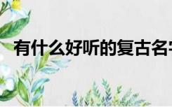 有什么好听的复古名字（好听的复古名字）
