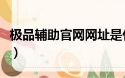 极品辅助官网网址是什么（极品辅助官网网址）