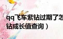 qq飞车紫钻过期了怎么看成长值（qq飞车紫钻成长值查询）