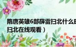 隋唐英雄6部薛雷扫北什么时候播放（隋唐英雄第六部薛雷扫北在线观看）