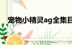 宠物小精灵ag全集目录（宠物小精灵ag）