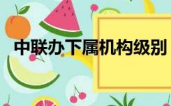 中联办下属机构级别（中联办是什么级别）