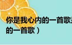 你是我心内的一首歌是哪年的歌（你是我心内的一首歌）