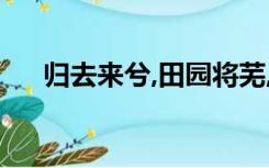 归去来兮,田园将芜,胡不归是什么意思?